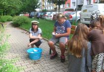 IMG_7178_1